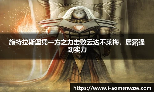 王中王资料大全