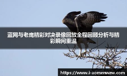 王中王资料